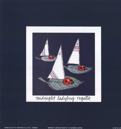 Midnight Ladybug Regatta