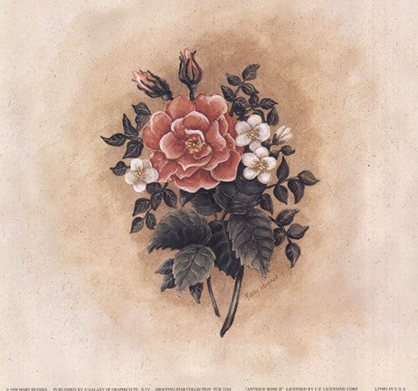 Antique Rose II