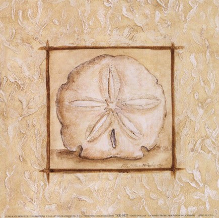 Sand Dollar