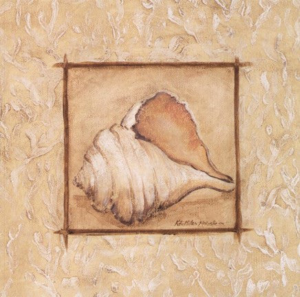 Conch