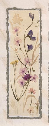 Dried Flowers I