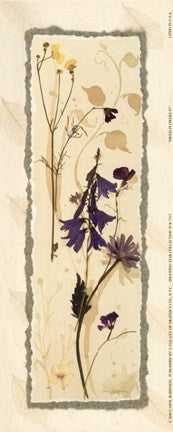 Dried Flowers IV