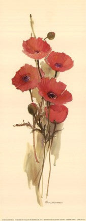 Crimson Poppy