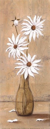 White Daisies