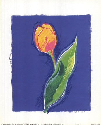 Tulip