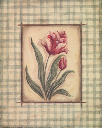 Gingham Tulip