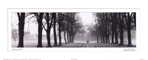 Avenue of Trees