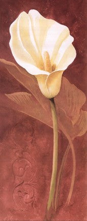 Calla Lily