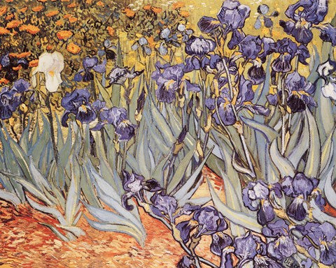 Irises in the Garden, Saint-Remy, c.1889