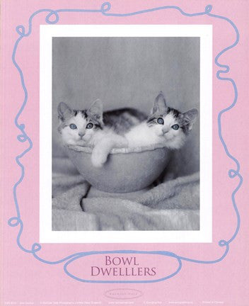 Bowl Dwellers