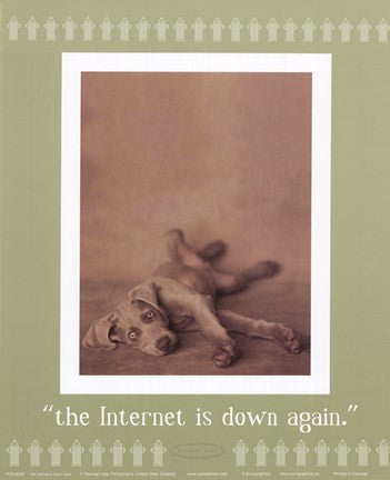 Internet Is Down Again