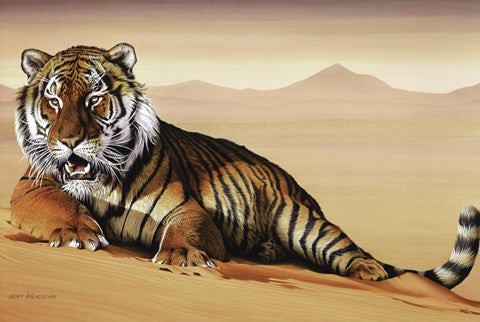 Tiger In Sand