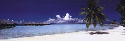 Tropical Beach Panorama