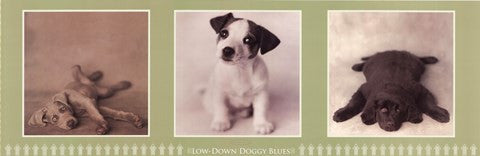 Low Down Doggie Blues