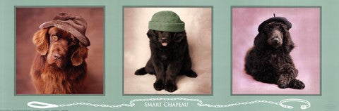 Smart Chapeau