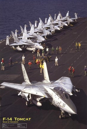 Airplane F-14 Tomcat