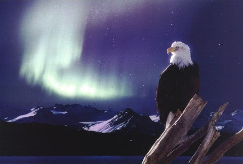 Eagle, Aurora Borealis