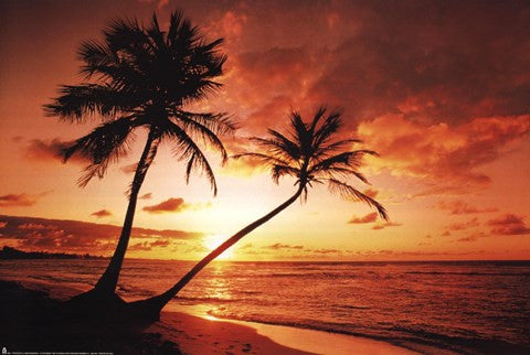 Tropical Sunset