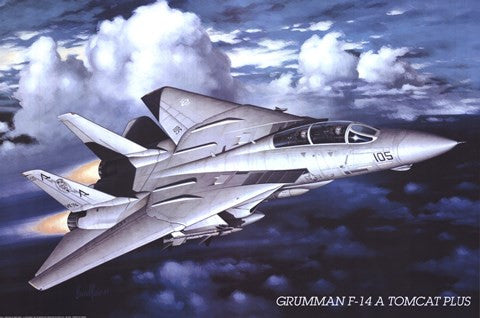 Grumman F-14 Tomcat