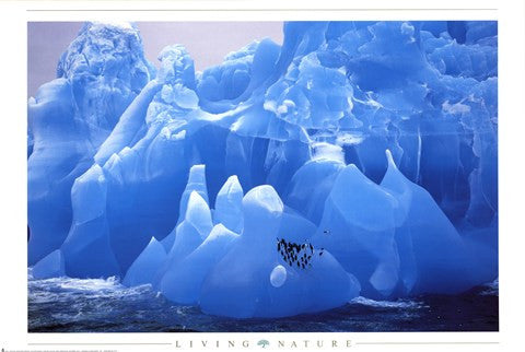 Penguins on Blue Ice