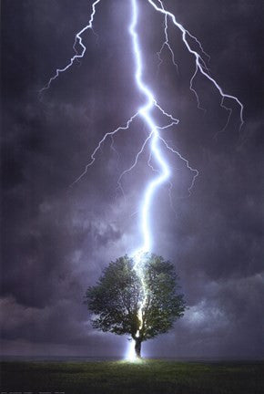 Lightning Striking a Tree