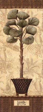 Botanical Palm I