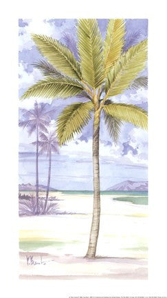 Palm Island II