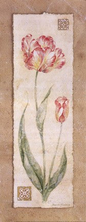 Tulip