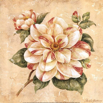 Camellia