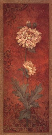 Chrysanthemum