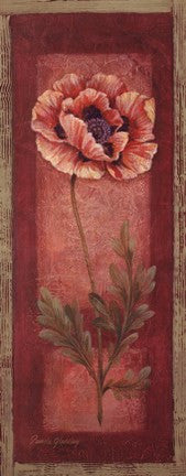 Red Door Poppy