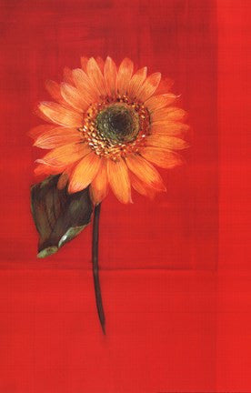 Flower on Red