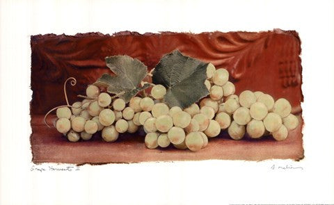 Grape Harvest II