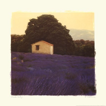 Lavender Country