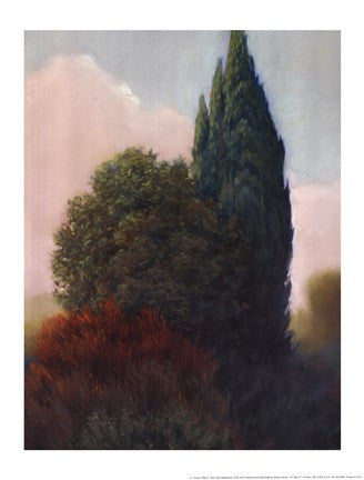 Tuscan Trees II