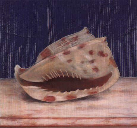 Brown Spotted Shell