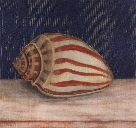 Striped Shell