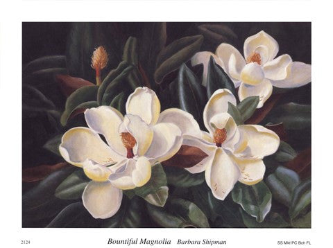 Bountiful Magnolia