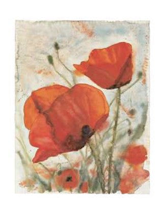 Tuscany Poppies I