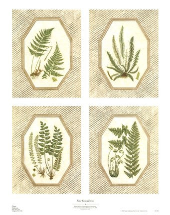 Four Fancy Ferns