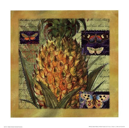 Pineapple II