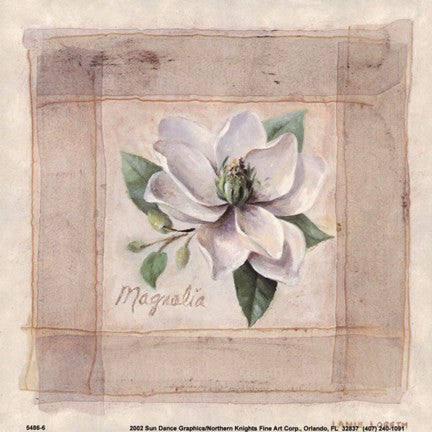 Magnolia