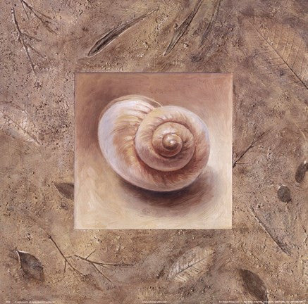 Shell IV