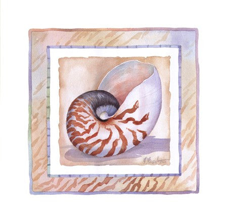 Bordered Shell-Nautilus