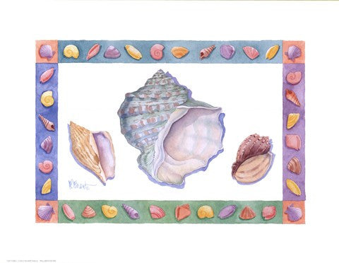 Turbo Conch & Harp Shells