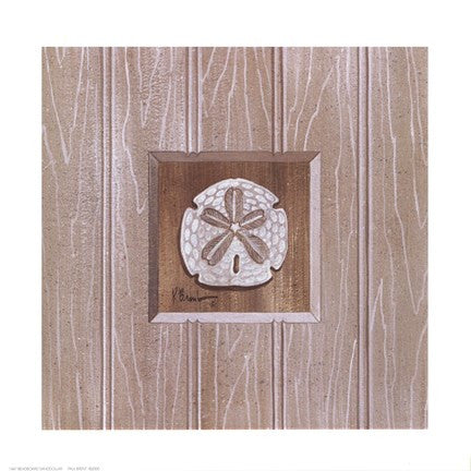 Beadboard Sanddollar