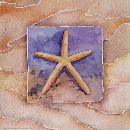 Summer Starfish