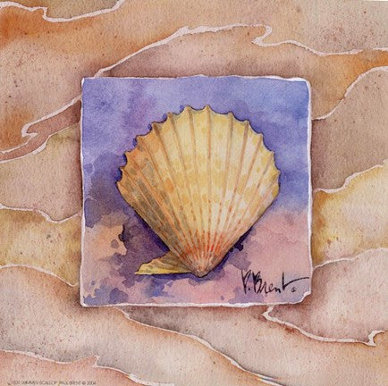 Summer Scallop