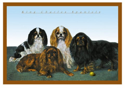 King Charles Spaniels