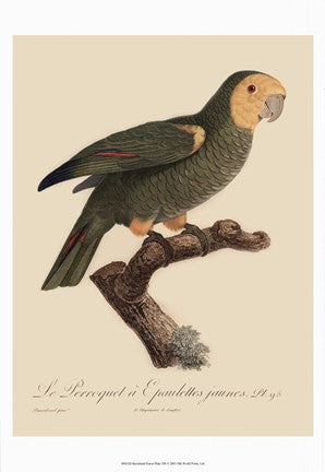 Parrot, PL 98